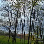 Bellavista 2*