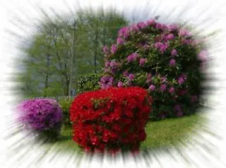 Bellavista Bed & Breakfast 2*