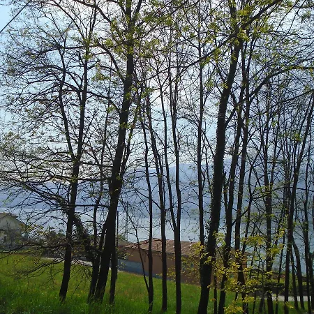Bellavista 2*