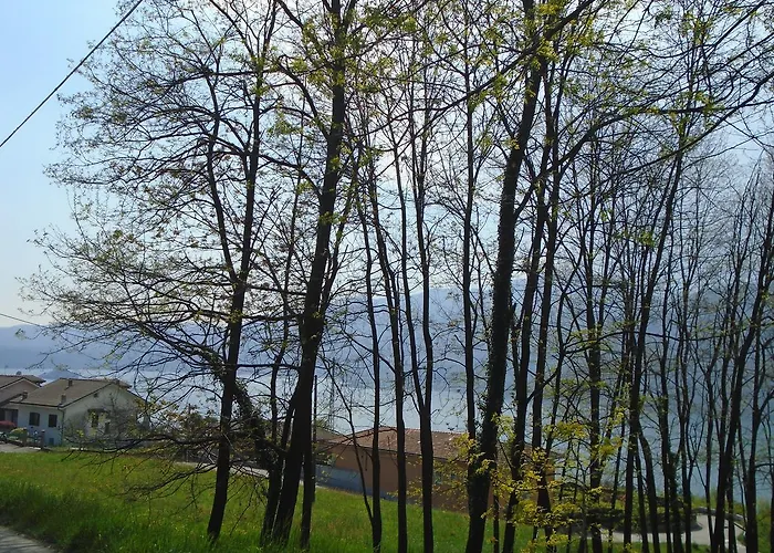 Bellavista 3*